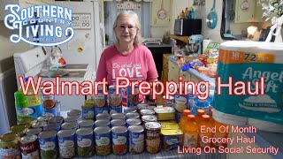 Walmart Prepping Haul and Weekly Grocery Haul  End Of The Month Prep  Living On Social Security [upl. by Graces]