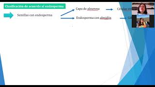 Clase 2  Germinación y giberelinas [upl. by Bearnard928]