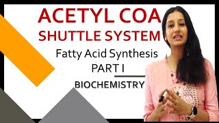 Acetyl CoA Shuttle System I Fatty Acid Synthesis Part 1 I Biochemistry I CSIRNET IITJAM GATE DBT [upl. by Thomasa26]