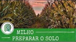 Saiba como preparar o solo para cultivo de milho [upl. by Novia965]