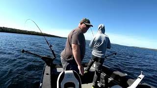 Manitoulin Lake Trout bonanza [upl. by Goody]