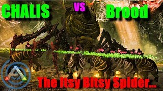 ChalicotheriumChali vs Broodmother Lysrix Ark Chali Bossing [upl. by Gladstone]