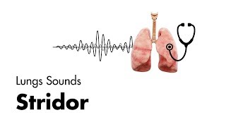 Stridor  Lung Sounds  MEDZCOOL [upl. by Falconer]