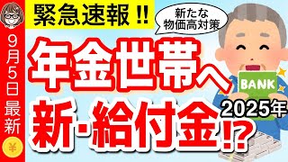 【9月5日最新】政府から年金世帯へ新給付金！？全国民へ食品クーポン家賃補助など2025年新たな物価高対策について解説【低所得・年金受給者】 [upl. by Enitsenrae]