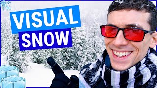 What is Visual Snow Symptoms and Treatments [upl. by Debbra818]