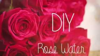 Benefits of Rose Water fo Face Skin amp Hair  Best Rose Water in india  WishCare Rose Water Review [upl. by Ibib]