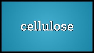 Cellulose Meaning [upl. by Donaldson755]