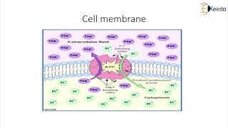 Origin of Bio potential  Bio Potentials and their Measurement  Biomedical Instrumentation [upl. by Cayla]