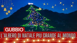 LAlbero di Natale di Gubbio il più grande al Mondo🎄🌟 [upl. by Rivard45]