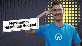 Meristemas  Histologia Vegetal  Brasil Escola [upl. by Pilif747]