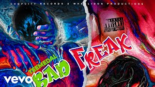 Teemedal  Bad Freak Official Audio [upl. by Tekcirc]