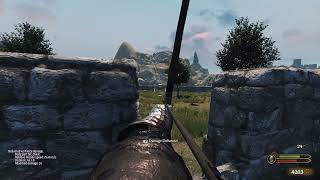 Bannerlord  PE  Skirmishing CI VD Austria and Poland [upl. by Oiligriv697]