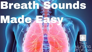 Simple Nursing Breath Sounds Made Easy [upl. by Ihab452]