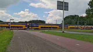 Spoorwegovergang Blerick Venlo  Dutch Railroad Crossing [upl. by Davina]