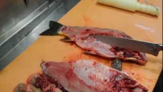 Karpfen zerlegen und filetieren  How to cut and filet carp [upl. by Ayalat]