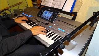 Patrick Bruel  Casser la voix Instrumental  Tyros 4 [upl. by Bekaj651]