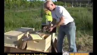 The Best Way to Set Up a Bee Hive  The FruitGuys [upl. by Dreyer878]