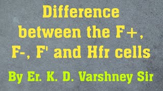 What is the difference between F F Hfr and F cells [upl. by Bamford]