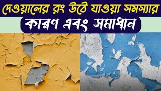 দেওয়ালের রং উঠে খসে যাওয়ার কারণ ও প্রতিকার  Paint Peeling  Wall Painting Problem and Solution [upl. by Halak]