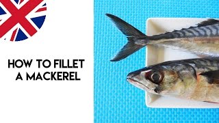 How to Fillet a Mackerel [upl. by Amihsat148]