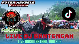 Live Dj Bantengan PUTRA MANDALA WISANGGENI Terbaru  LAGU BANTENGAN HITS MALANG Viral Tiktok [upl. by Aroel112]