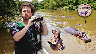 Buscando la plaga de hipopótamos de Escobar en Colombia  ¿Es real ⚠️🦛🇨🇴 [upl. by Bradly]