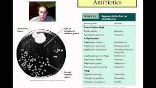 Control of Microbial Growth Part 1mp4 [upl. by Jaan]