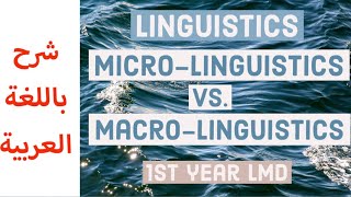 Linguistics Macrolinguistics vs Microlinguistics شرح باللغة العربية [upl. by Stanfield]