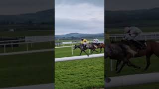 punchestown Races 02052024 ireland kildare punchestown [upl. by Poore72]