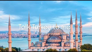 Travel To Turkey 🇹🇷  Istanbul Holiday Package  IndiGo Flights  IndiGo 6E [upl. by Haleehs437]