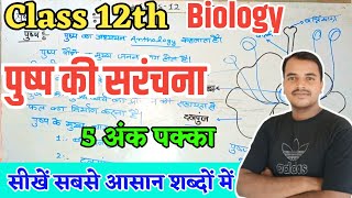 पुष्प की संरचना का सचित्र वर्णन  Pushp ki Sanrachna Class 12th Biology  by rahul sir [upl. by Sue]