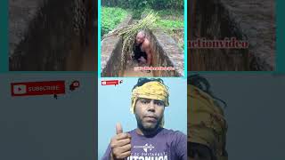 Disabled man omg  new tiktok ytshort  new viral ytshort  emotionalgodblessyoutiktokytshorts [upl. by Suirauqed]