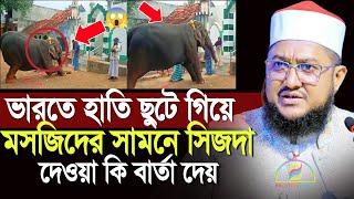 ভারতে বেঁধে রাখা হাতি ছুটে গিয়ে মসজিদের সামনে সিজদা দেওয়া কি বার্তা দেয়  Sadikur Rahman Azhari [upl. by Gregorio]