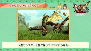 MH部『MHXX』基礎＆豆知識研究所・豆知識5こやし玉どっちに当てる！？ [upl. by Marigolda]