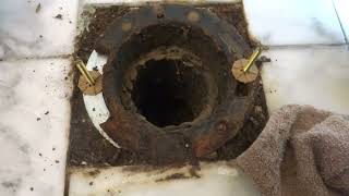 How To Fix a Broken Toilet Flange [upl. by Halet]