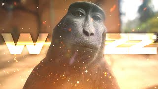 4K 2180p W Rizz Monkey 🙀  With music ‼️ [upl. by Tifanie523]