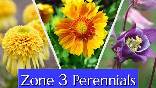 Perennials for Cold Climates Zone 3 [upl. by Nyvets536]