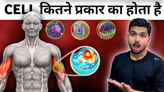 Prokaryotic and Eukaryotic Cell  in Hindi [upl. by Pandora]