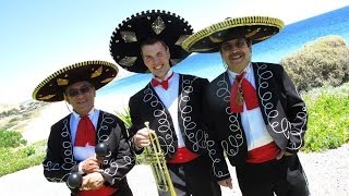 The Mexican Mariachi Band with Trumpet [upl. by Casabonne]