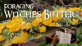 FORAGING  Witches Butter  Witches Butter Soup [upl. by Lebiralc]