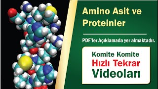 Komite Komite Hızlı Tekrar I Amino Asit ve Proteinler [upl. by Durante]