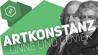 Theorie der Artkonstanz – Linné und Cuvier – Evolution [upl. by Gnilyam]