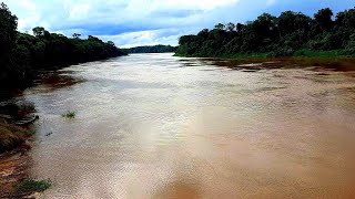 Rio Ivaí esta enchendo com essas chuvas🙏  HerculândiaPR  180121 [upl. by Nenerb686]