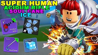 HỌC COMBO FAN ACIDUM RIFLE  SUPER HUMAN BLOX FRUIT ĐẠN BAY ĐƯỜNG THẲNG HÓA KIẾP THÀNH CÔNG [upl. by Collis]