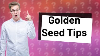 Should I use Golden Seed right away [upl. by Valentia8]