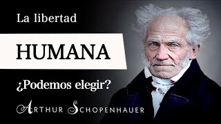 ¿ERES LIBRE Arthur Schopenhauer  Filosofía del LIBRE ALBEDRÍO y la VOLUNTAD HUMANA Parte I [upl. by Leahcar]