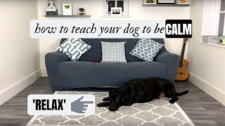 quotRELAXquot How to calm YOUR dog down [upl. by Pavior]