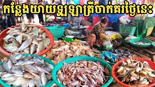 ផ្សារពន្លៃ កន្លែងយាយឡូឡា មានត្រីល្អៗ ច្រើនណាស់ ថ្ងៃនេះ 🐟👍  Freshwater Fish Market KH Ep 646 [upl. by Wilburn]