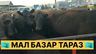 ІРІ ҚАРА БАҒАСЫ  МАЛ БАЗАР  MAL BAZAR TARAZ 15092024 [upl. by Irama540]