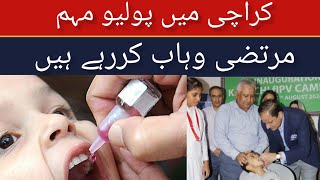 2nd phase of polio eradication program 2024  Polio drops  Murtaza Wahab  Mayor Karachi  polio [upl. by Egroeg]